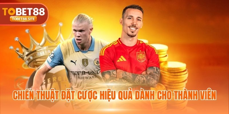 Chiến thuật đặt cược hiệu quả dành cho thành viên
