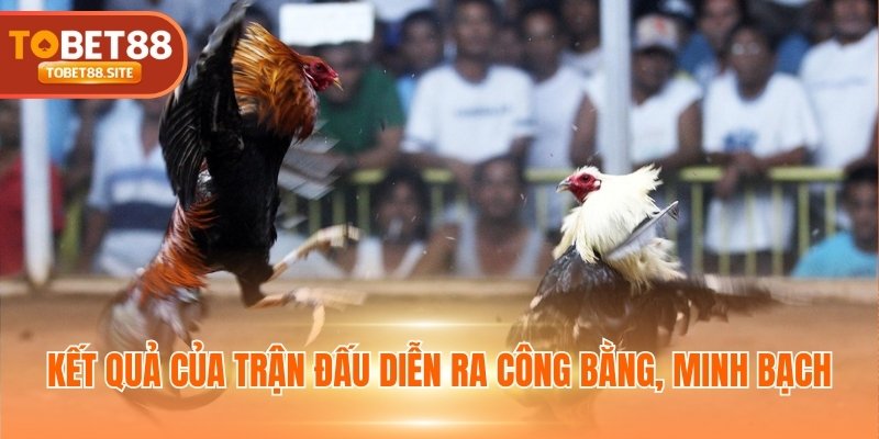 Kết quả của trận đấu diễn ra công bằng, minh bạch