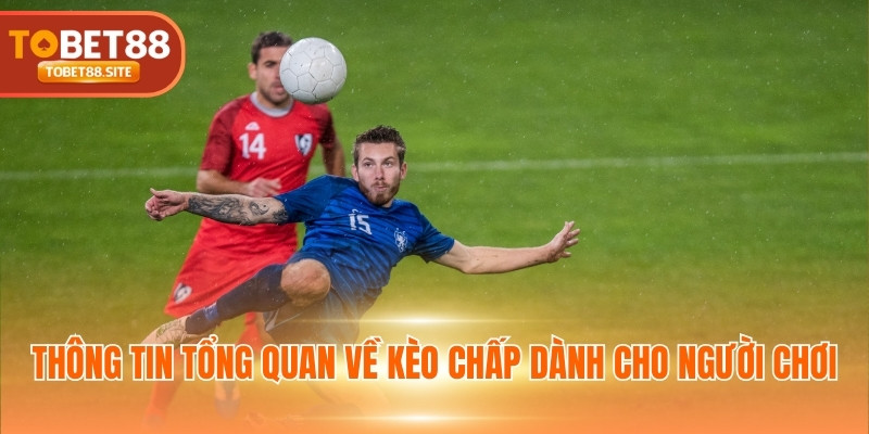 Thông tin tổng quan về kèo chấp dành cho người chơi